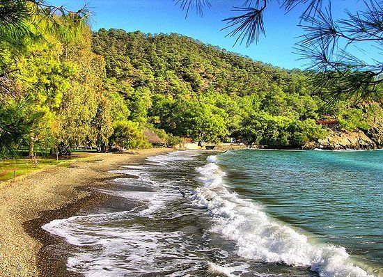 Katrancı Koyu Tabiat Parkı